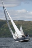 delinquent gbr8569t whyw24 sun 800 5266